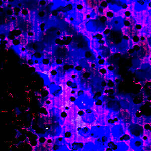 Tiger Claws 2 - Rage Type Beat